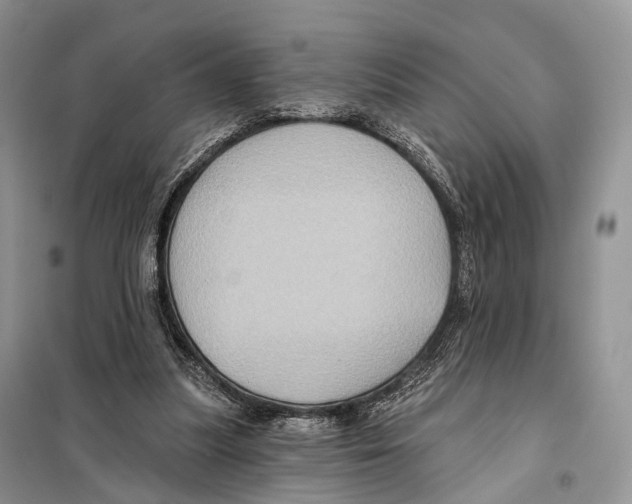 X0000097910251200804111120