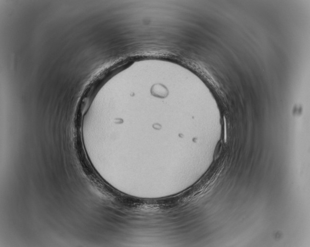 X0000097910252200804111120