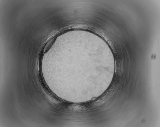 X0000097910253200804111120