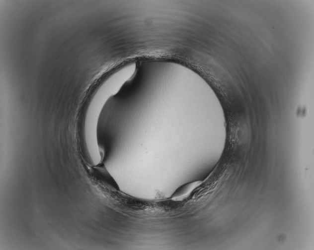 X0000097910256200804111121