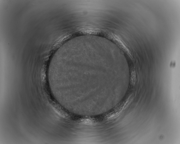 X0000097910259200804111121