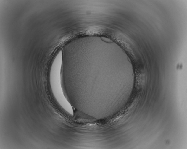 X0000097910260200804111121