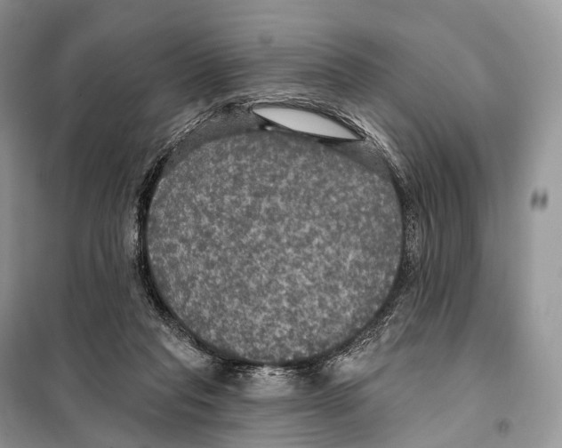 X0000097910261200804111121