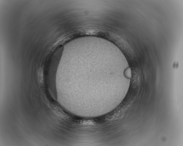 X0000097910262200804111121