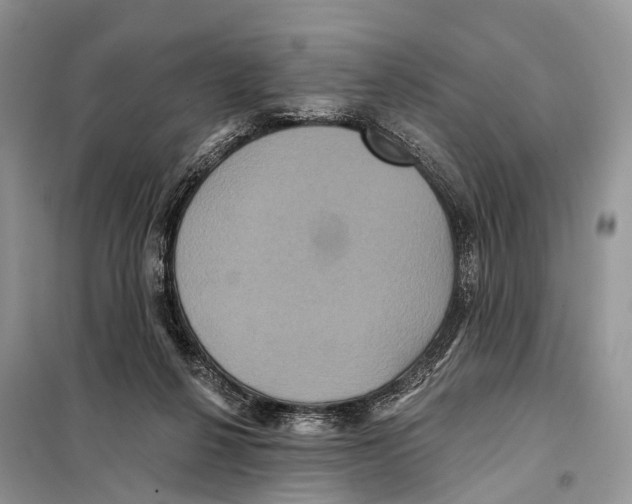 X0000097910264200804111121