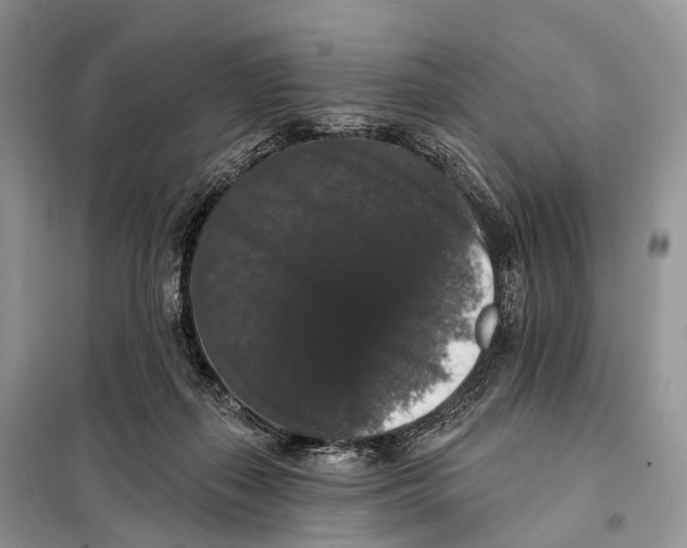 X0000097910267200804111121