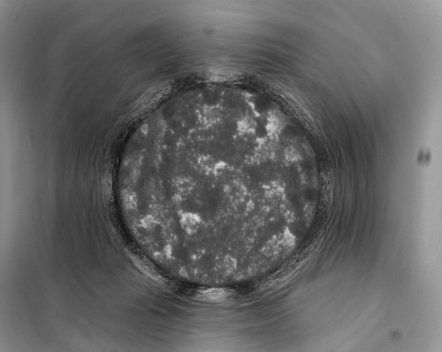 X0000097910269200804111121