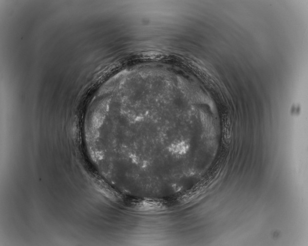 X0000097910270200804111121