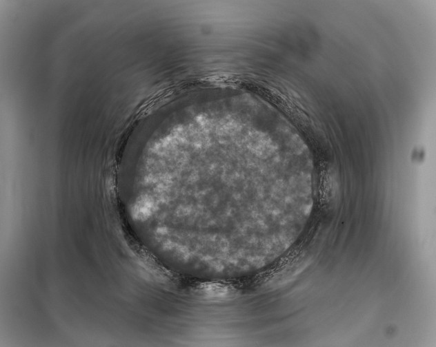 X0000097910272200804111121