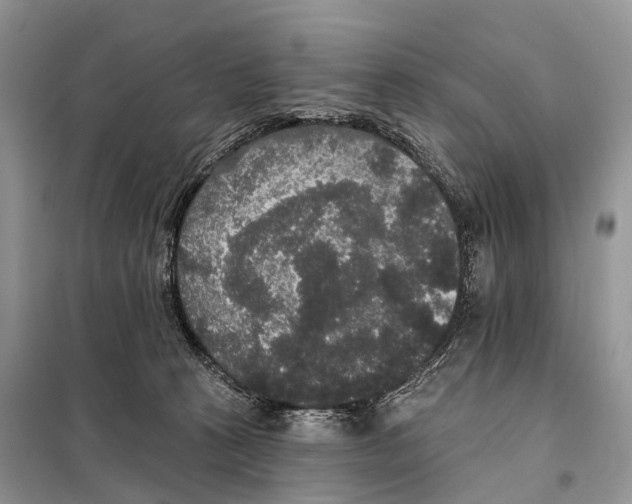 X0000097910273200804111121