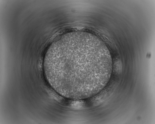 X0000097910274200804111121