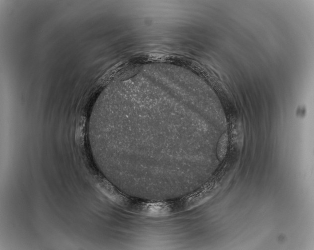 X0000097910275200804111121