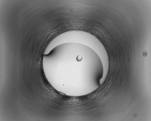 X0000097910276200804111121