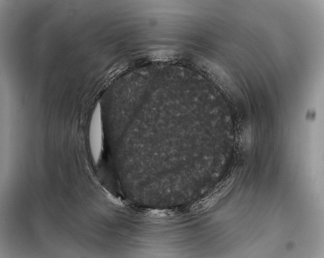 X0000097910277200804111121