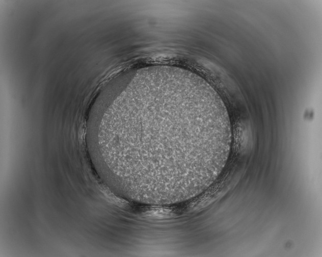 X0000097910278200804111121