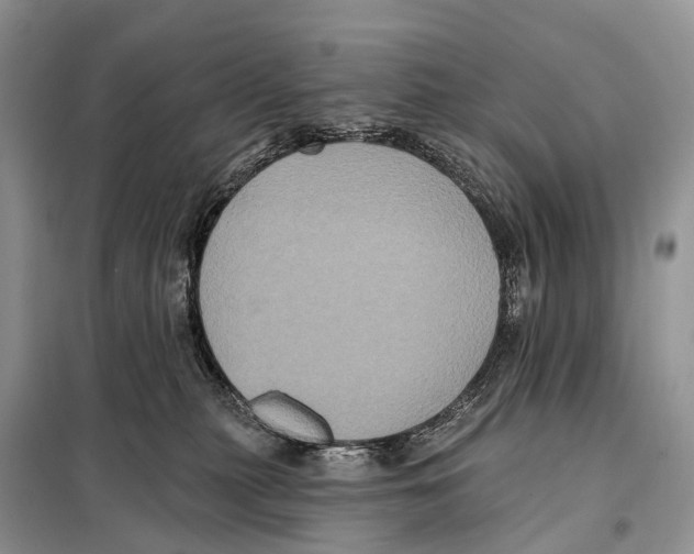 X0000097910279200804111121