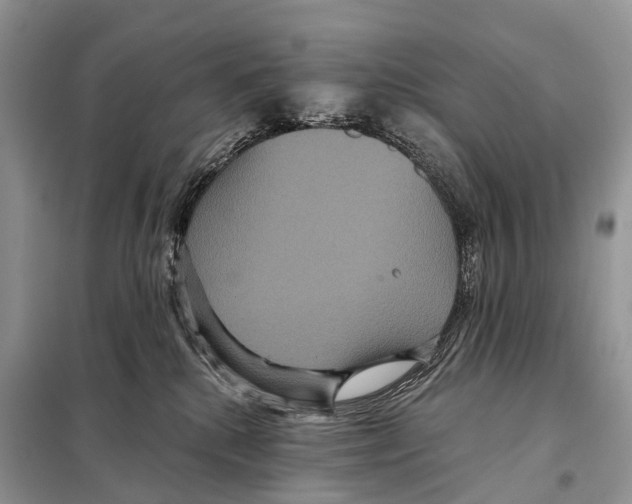 X0000097910280200804111121