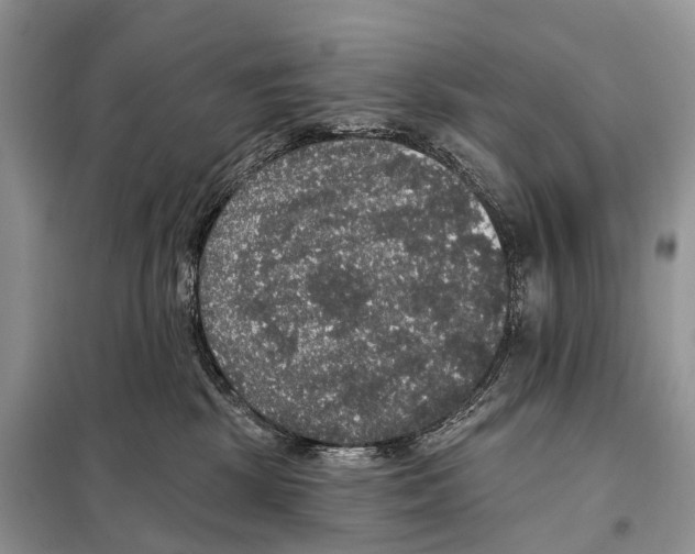 X0000097910281200804111121