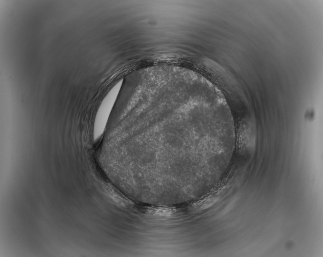 X0000097910282200804111121