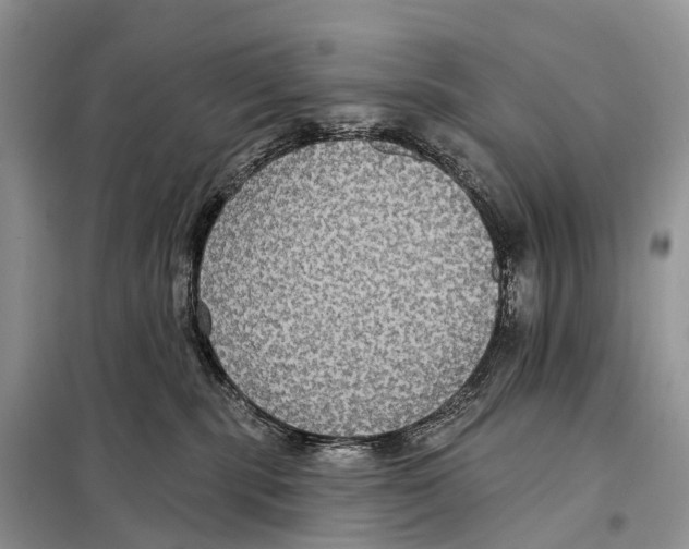 X0000097910283200804111121