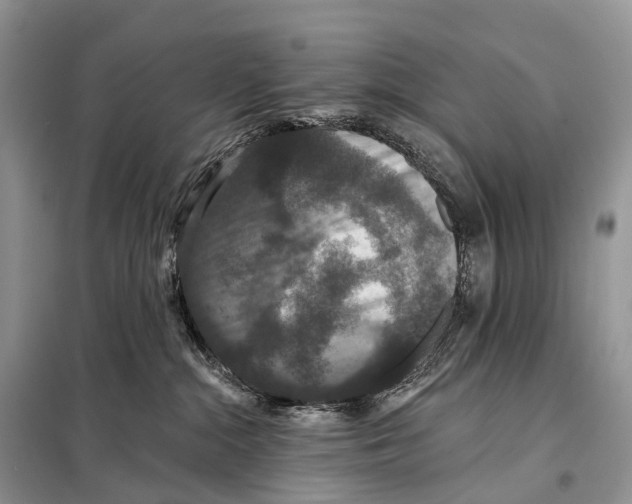 X0000097910284200804111121