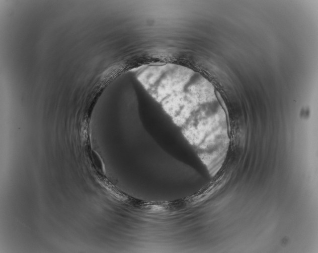 X0000097910285200804111121