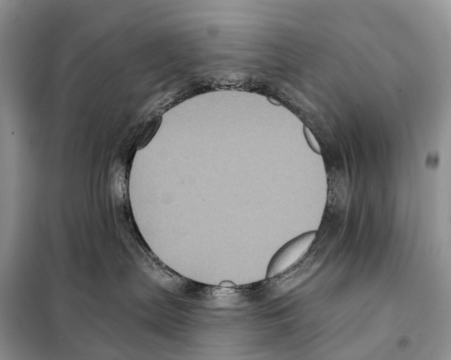 X0000097910287200804111121