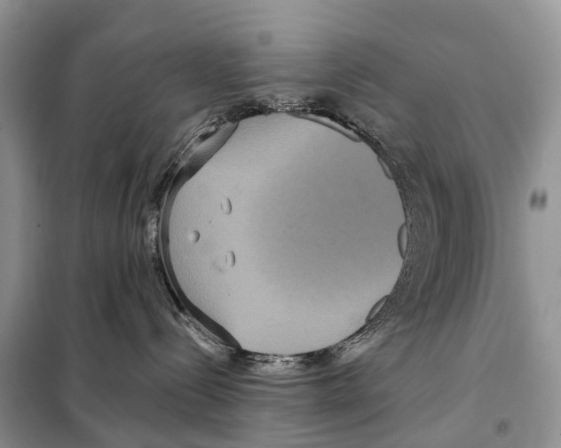 X0000097910288200804111121