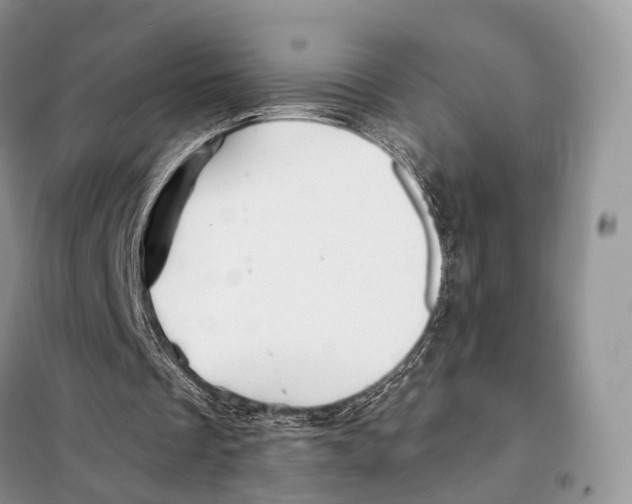 X0000097910289200804111120