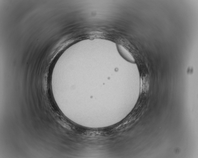 X0000097910291200804111120