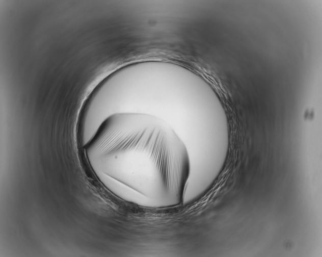 X0000097910292200804111120