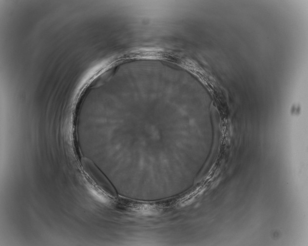 X0000097910293200804111120