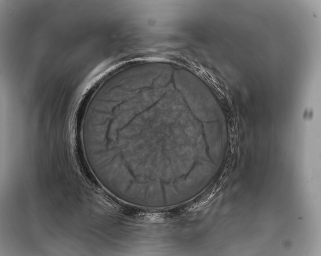 X0000097910295200804111120