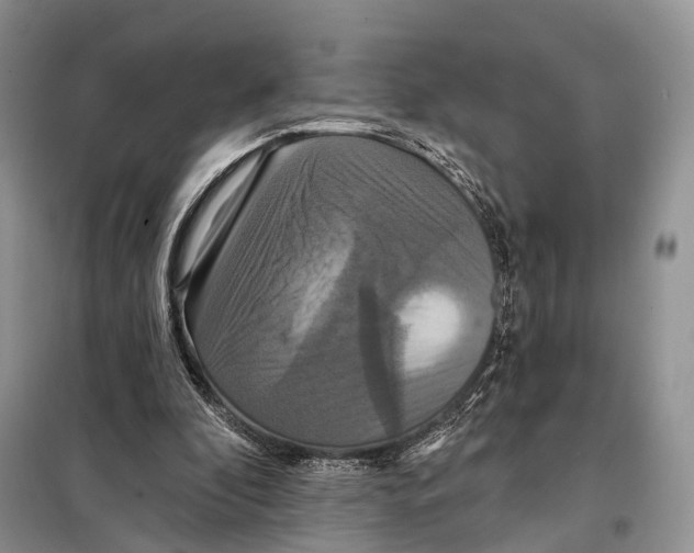 X0000097910296200804111120