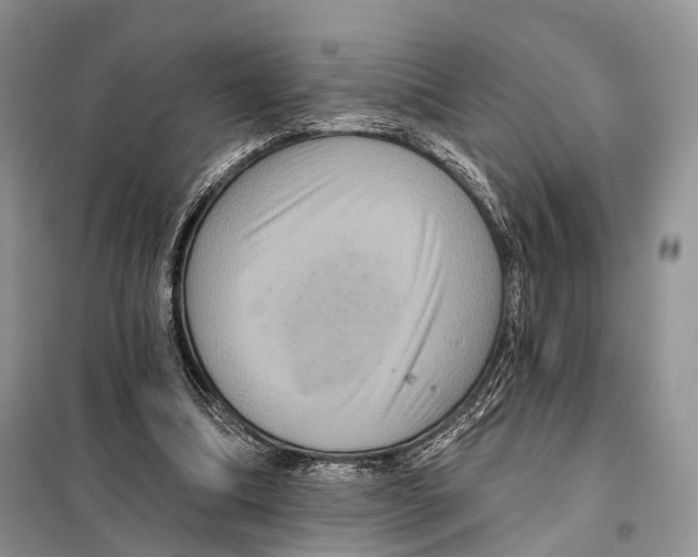 X0000097910298200804111120