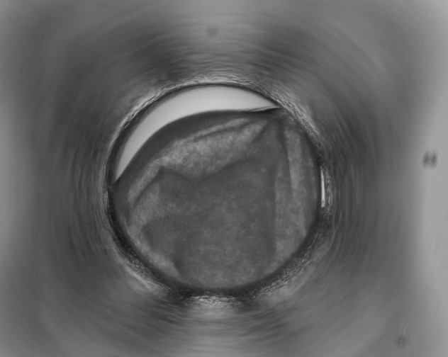 X0000097910300200804111120