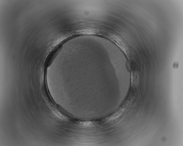 X0000097910301200804111120