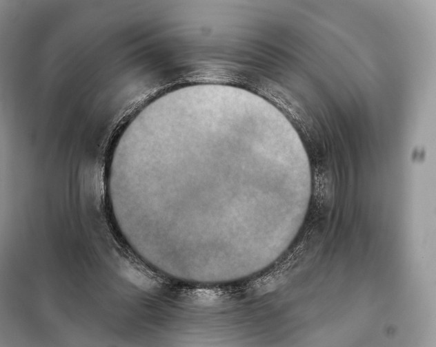 X0000097910302200804111120