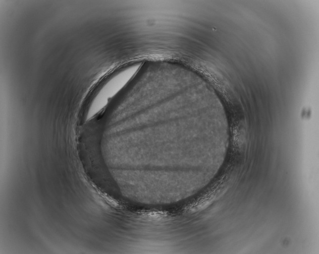 X0000097910304200804111120