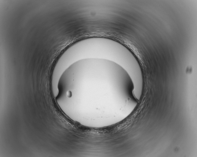 X0000097910305200804111120