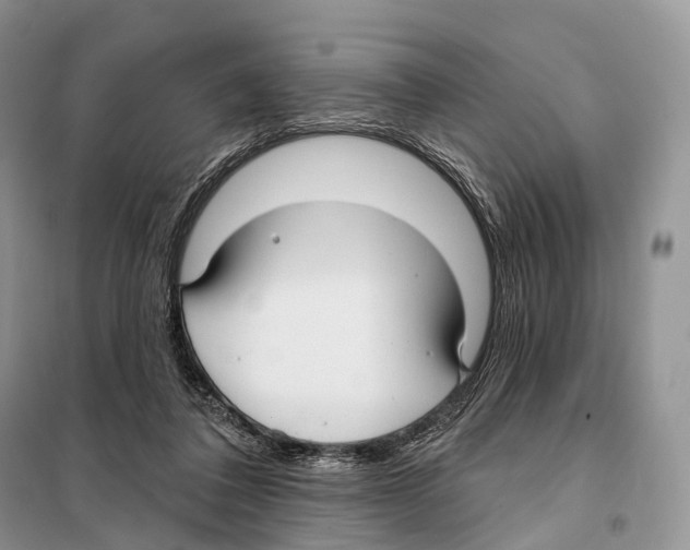 X0000097910308200804111120