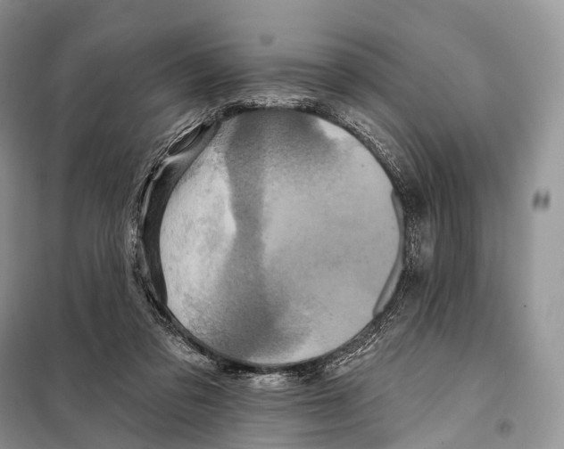 X0000097910309200804111120