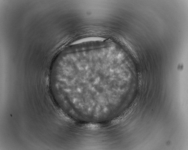 X0000097910313200804111120