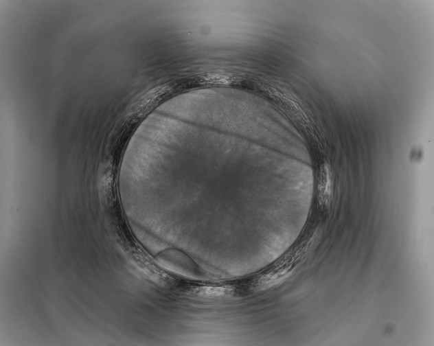 X0000097910314200804111120