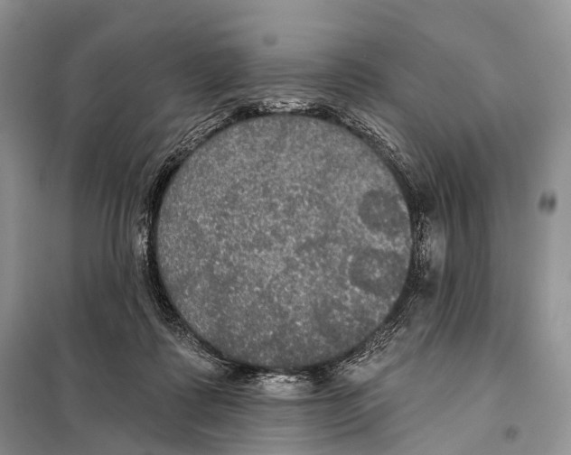 X0000097910315200804111120