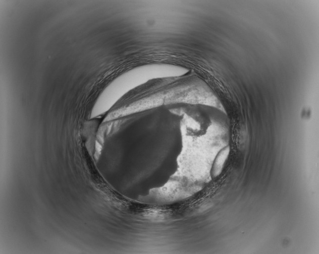 X0000097910319200804111120