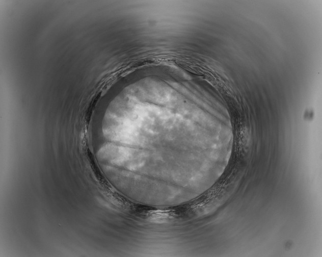 X0000097910320200804111120