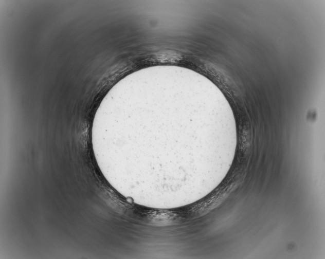 X0000097910321200804111120