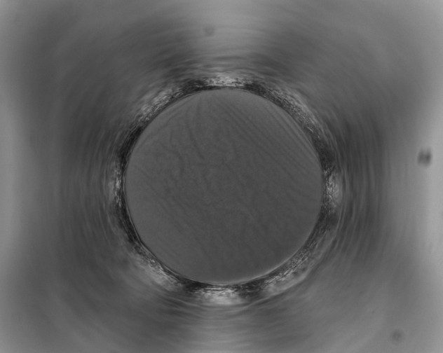 X0000097910322200804111120