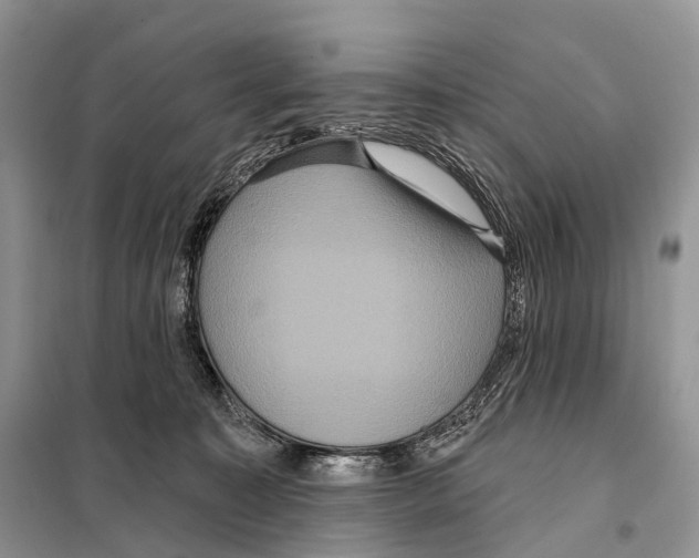 X0000097910323200804111120